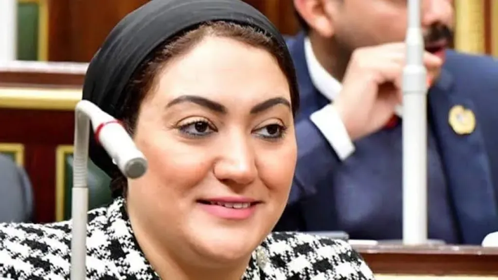 برلمانية: الدبلوماسية المصرية تواصل دعم الاستقرار والحلول السلمية