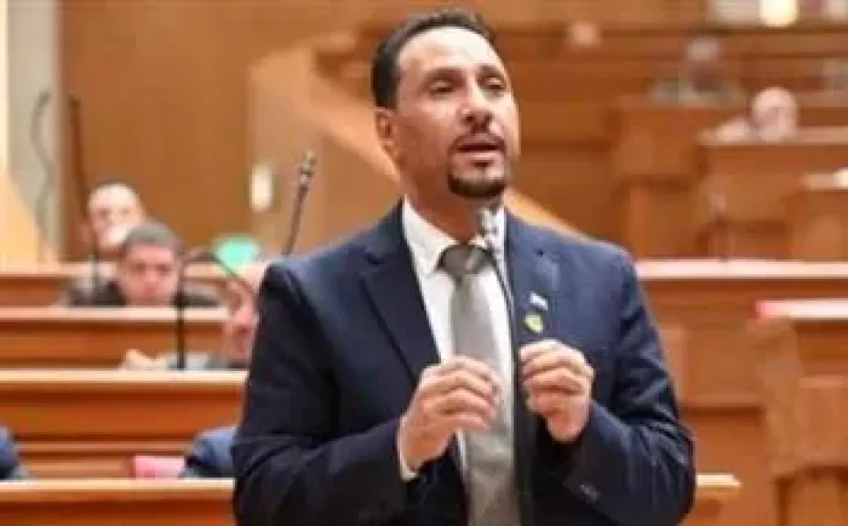 النائب جرجس لاوندي، عضو مجلس النواب