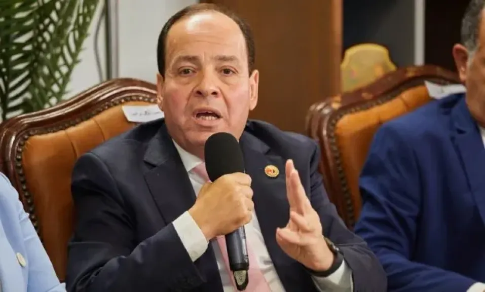 أشرف أبو النصر، مساعد رئيس حزب حماة الوطن