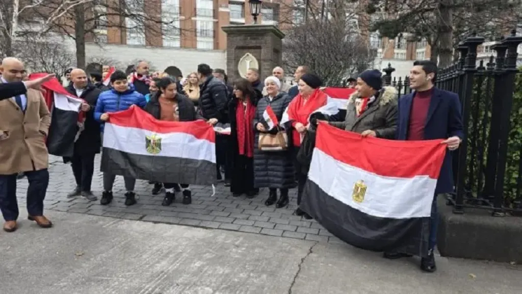 ملحمة وطنية.. البيطار: توحيد صفوف المصريين في الداخل والخارج لدعم الدولة|فيديو