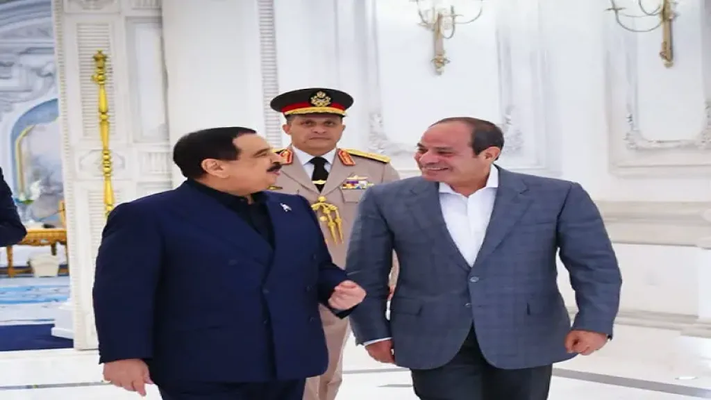 حسين هريدي: أمن الخليج على رأس مباحثات القمة المصرية البحرينية|فيديو
