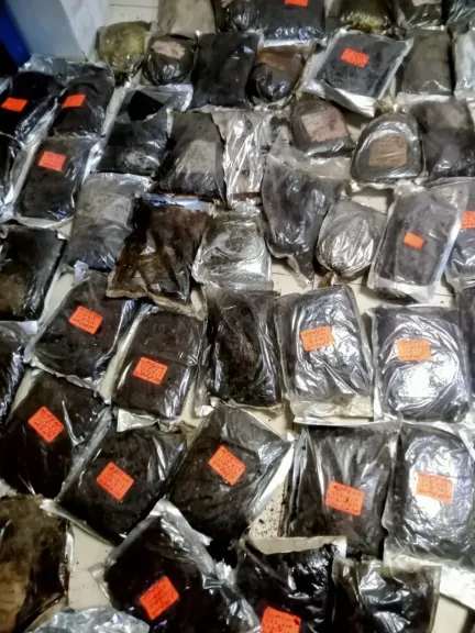 ضبط 100 كيلو أعشاب غير صالحة للإستهلاك الآدمي