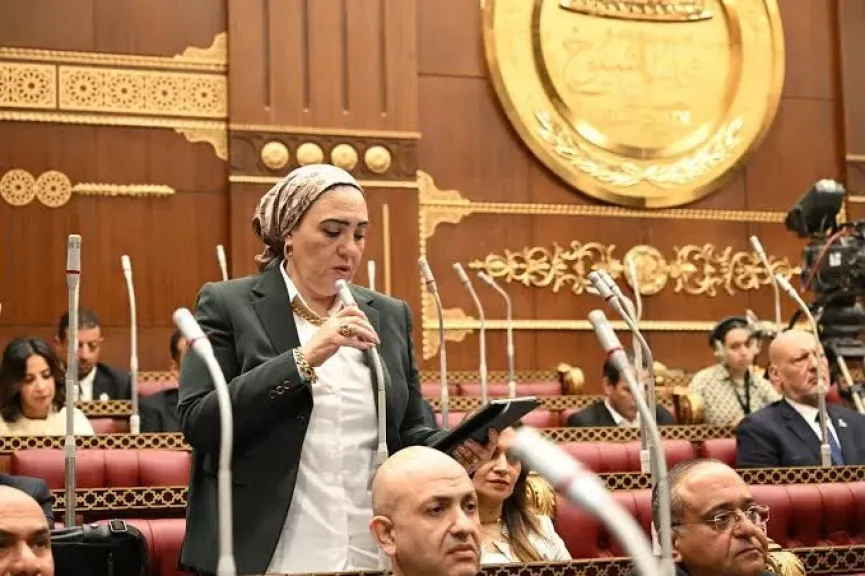 النائبة داليا الأتربي: تسجيل خطوط محمول باسم المواطنين دون علمهم أمر غير مقبول