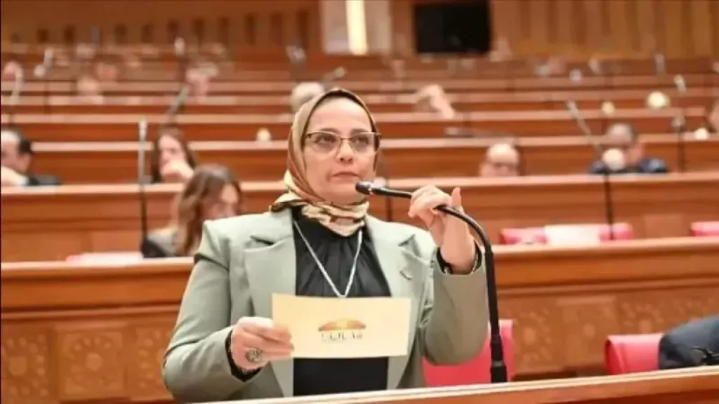 النائبة نجلاء العسيلي، عضو مجلس النواب