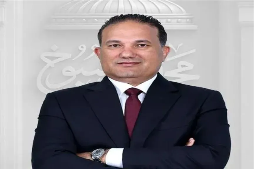 النائب تامر عبد الحميد، عضو مجلس الشيوخ