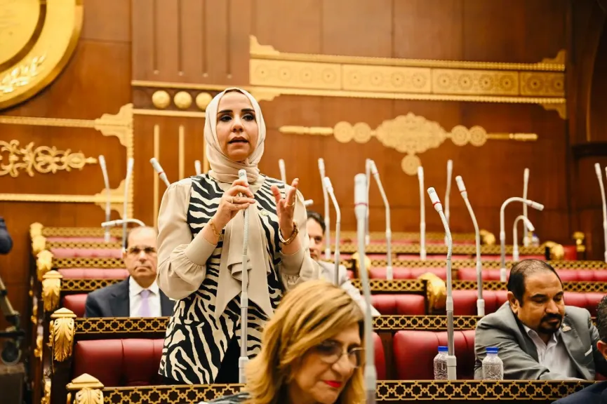 النائبة ولاء هرماس، عضو مجلس الشيوخ