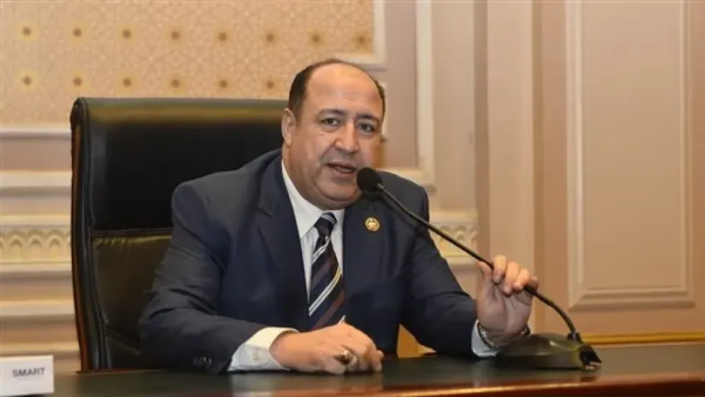 برلماني: توجيهات الرئيس السيسي تضبط سوق العقارات وتصون حقوق المواطنين