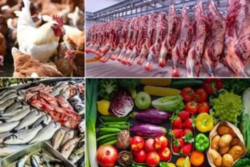 أسعار الأسواق اليوم الأربعاء .. مفاجآت الخضروات والفاكهة واللحوم والأسماك