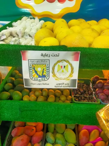 مواعيد مبادرة «يوم في حب مصر» بجميع مراكز جنوب سيناء