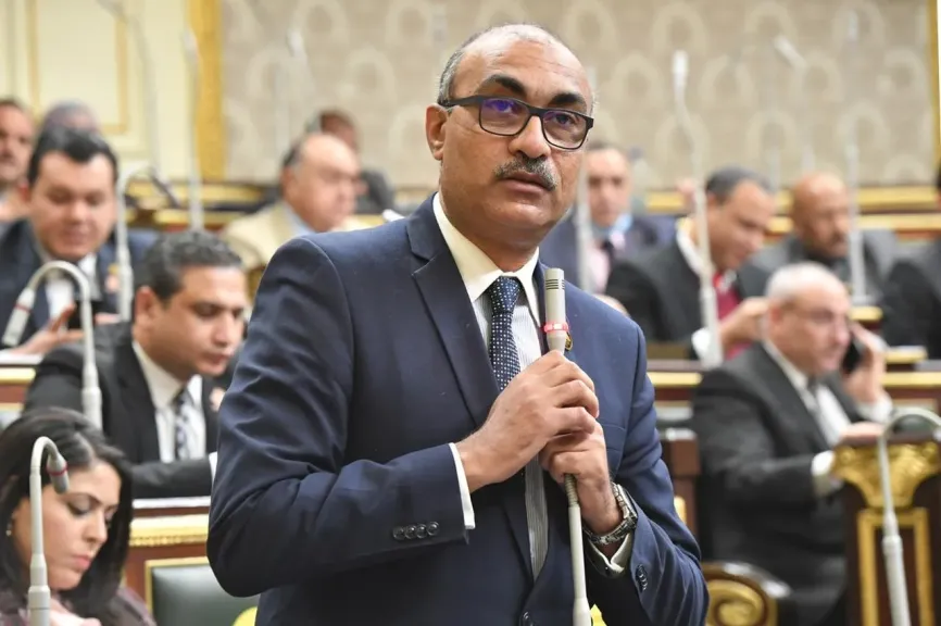 النائب إيهاب منصور، وكيل لجنة القوى العاملة بمجلس النواب