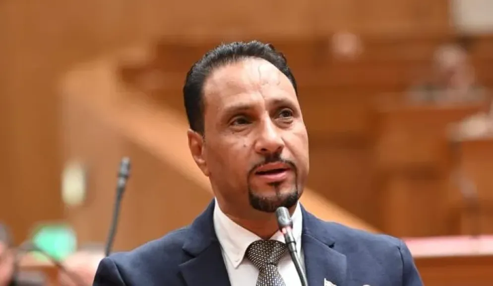 النائب جرجس لاوندي، عضو مجلس النواب