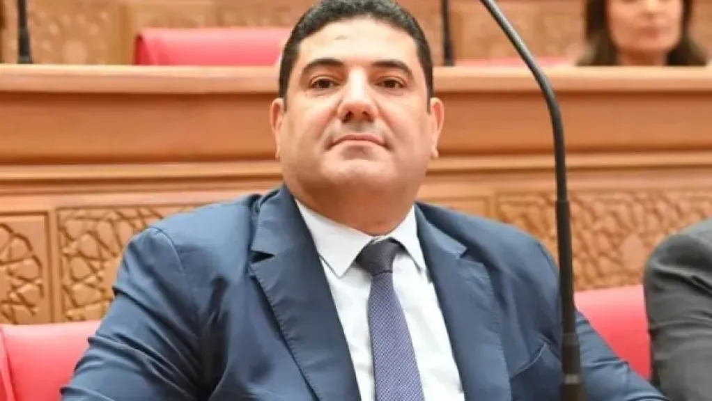 الدكتور احمد عبد المجيد عضو مجلس النواب