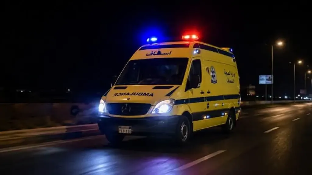 حوادث الطرق في مصر 