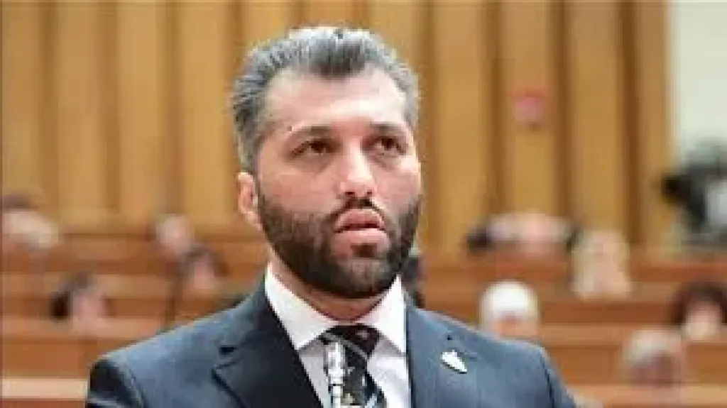 النائب محمد عكاشة
