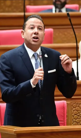 النائب حسن عمار 