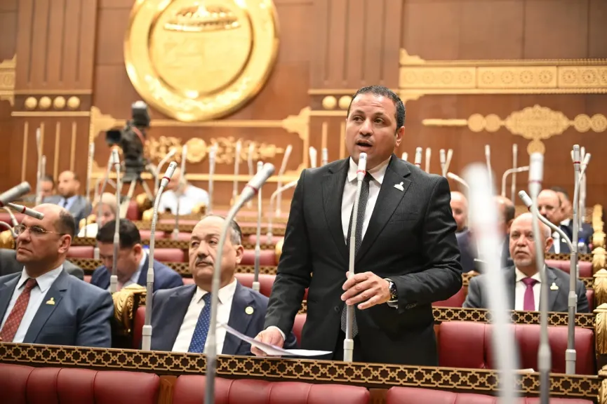 النائب عادل السكري 