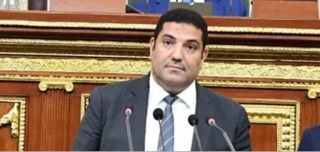 النائب الدكتور أحمد عبد المجيد عضو مجلس النواب