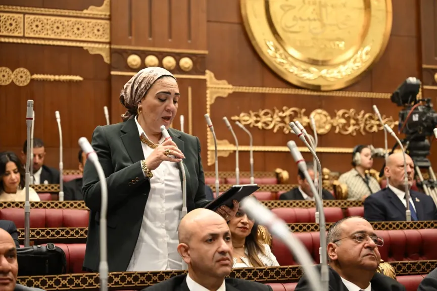 الدكتورة داليا الأتربي، عضو مجلس الشيوخ