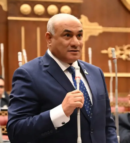 لنجاح مبادرة «مصر تنطلق بالتصدير».. النائب شعبان رأفت :يقترح انشاء منصة إلكترونية لمتابعة تصدير المنتجات المصرية