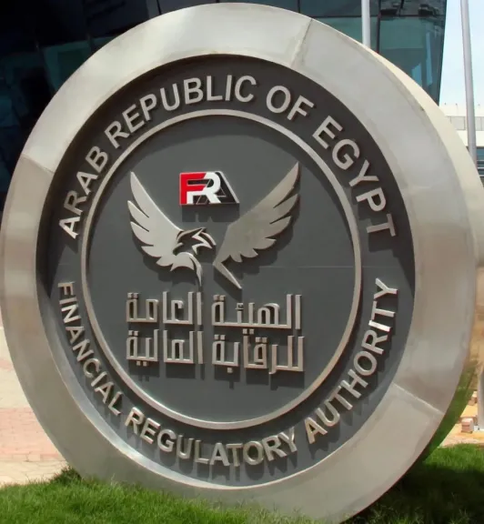 رئيس الهيئة العامة للرقابة المالية يوجه بسرعة صرف التعويضات لضحايا حادث نويبع بجنوب سيناء