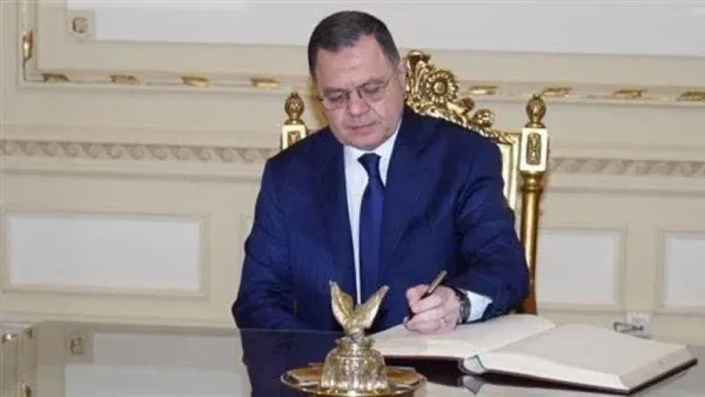 «قرار رسمي».. وزير الداخلية يرد الجنسية المصرية لـ21 شخصًا