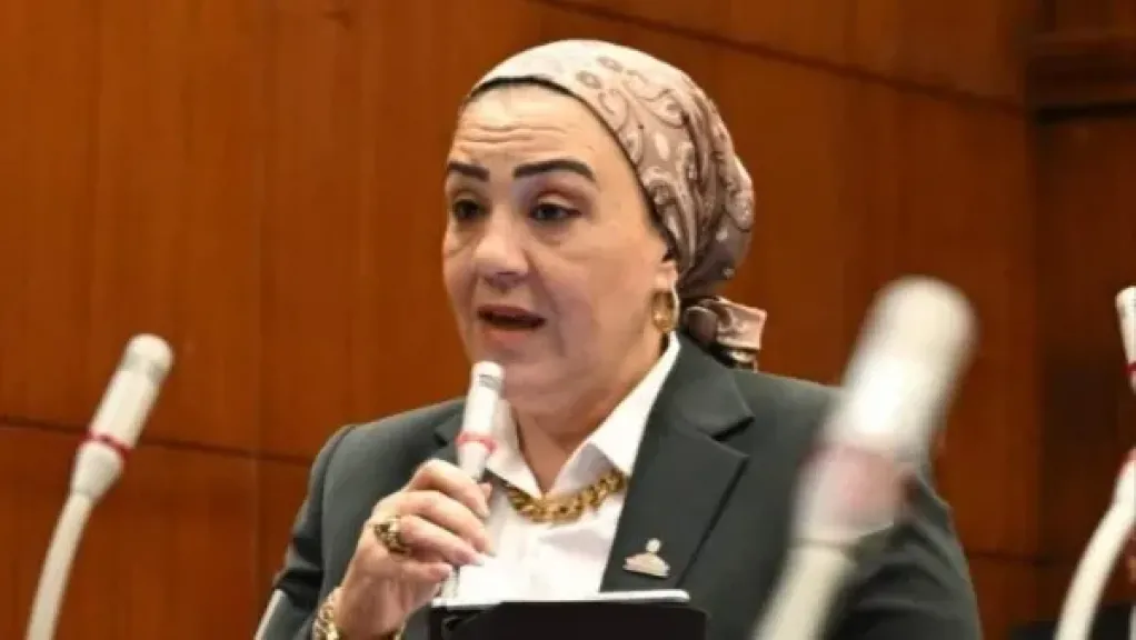 الدكتورة داليا الأتربي، عضو مجلس الشيوخ