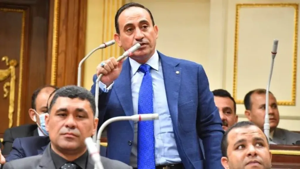 النائب محمد زين 