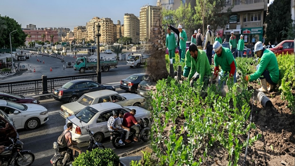 انقذوا القاهرة من الكربون.. سمعان: الشجرة المتوسطة تمتص نحو 1.7 كجم يوميًا|فيديو