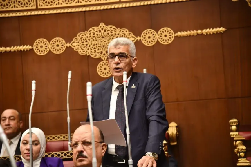 النائب محمد سلامة 