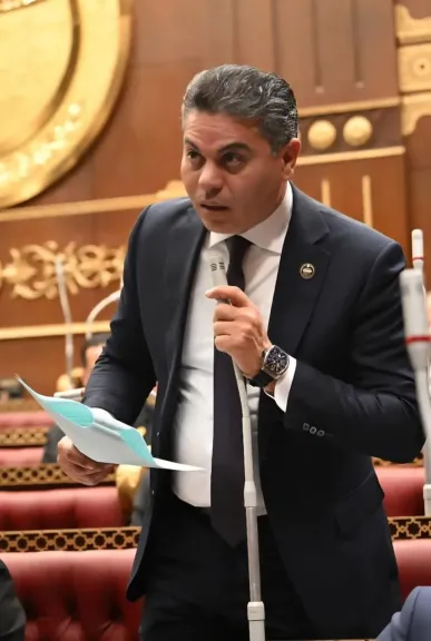 النائب مجدي البري