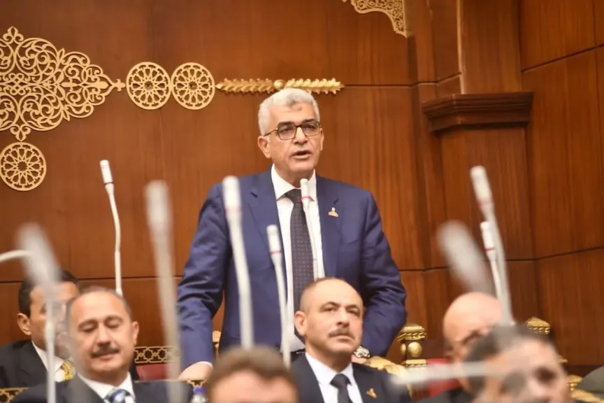 النائب محمد سلامة 