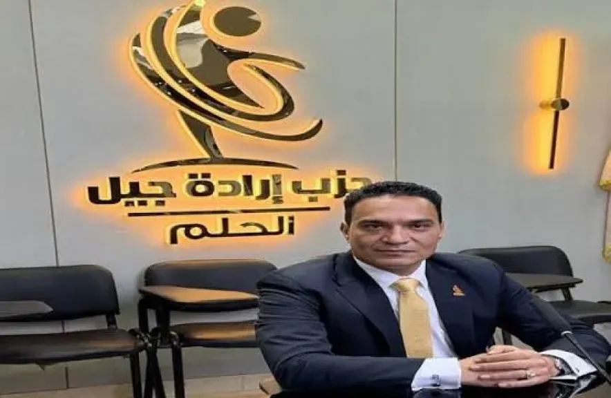 إبراهيم ضيف، نائب رئيس حزب إرادة جيل