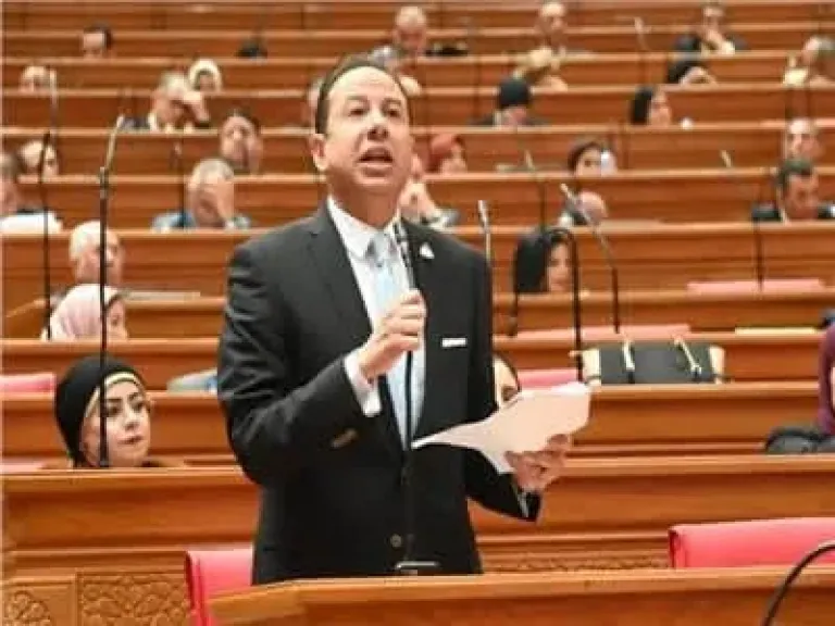 النائب حسن عمار: شراكة القاهرة والرياض تفتح الطريق أمام قفزة جديدة في الاستثمارات المشتركة