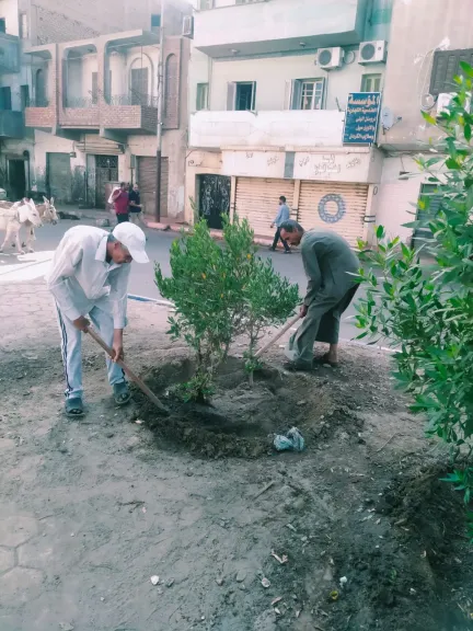 مشاركة مجتمعية بتكثيف جهود التشجير والتوعية بأهمية الحفاظ على الأشجار
