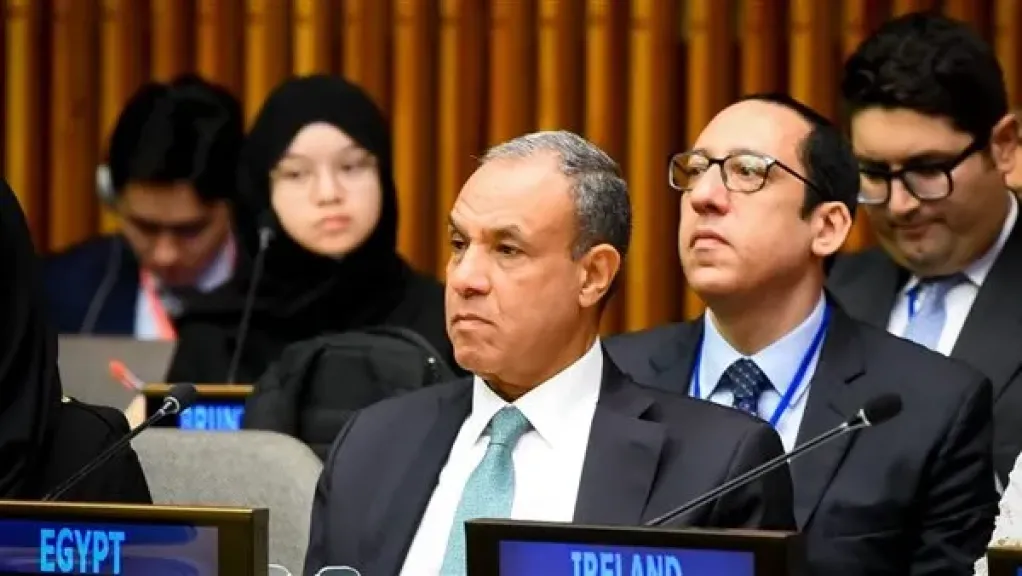 وزير الخارجيه بدر عبد العاطي