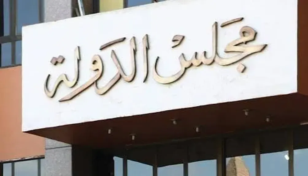 مجلس الدولة 