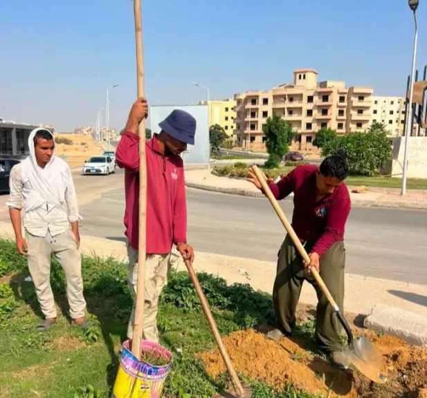 جانب من التنمية 