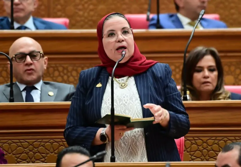 الدكتورة أمل عصفور، عضو لجنة التعليم والبحث العلمي بمجلس النواب