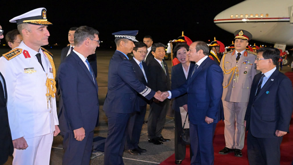 أحمد سيد أحمد: مصر بوابة الشركات الكورية لأفريقيا والشرق الأوسط|فيديو