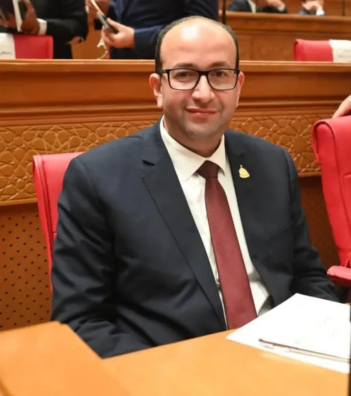 النائب عمرو عويضه 