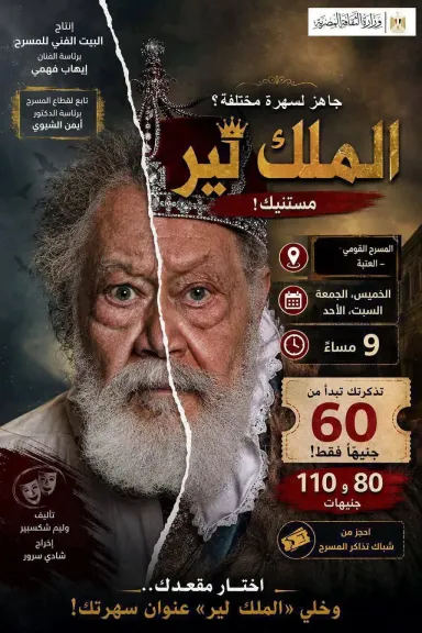 من القاهرة إلى الإسكندرية.. 4 عروض تضيء مسارح البيت الفني للمسرح في «الويك إند»