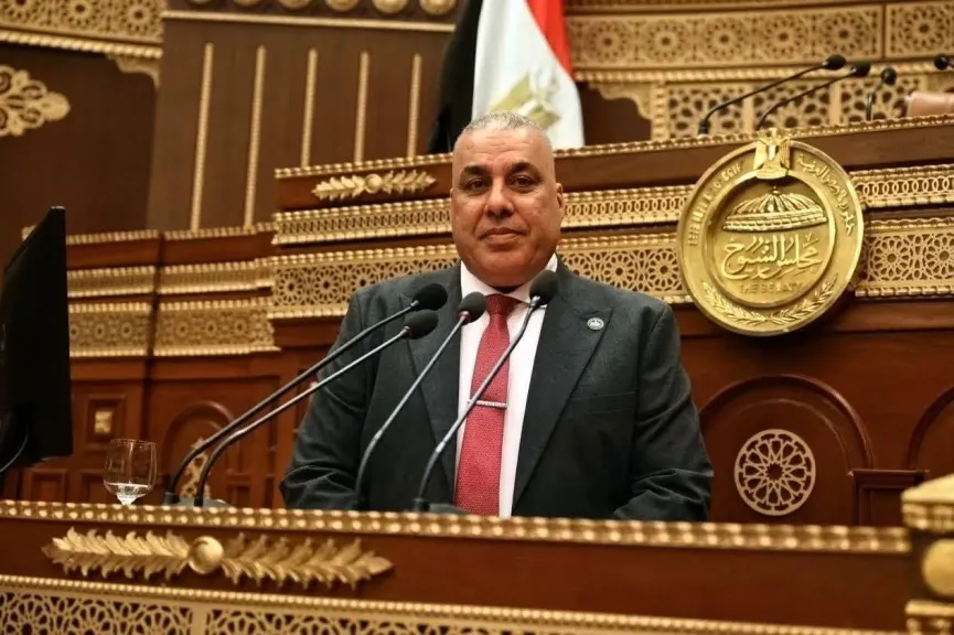 النائب محمد أبو النصر 