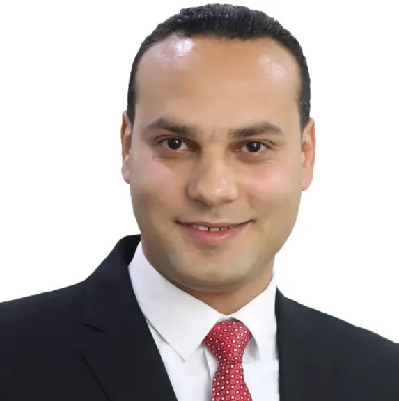 النائب أنس هلول