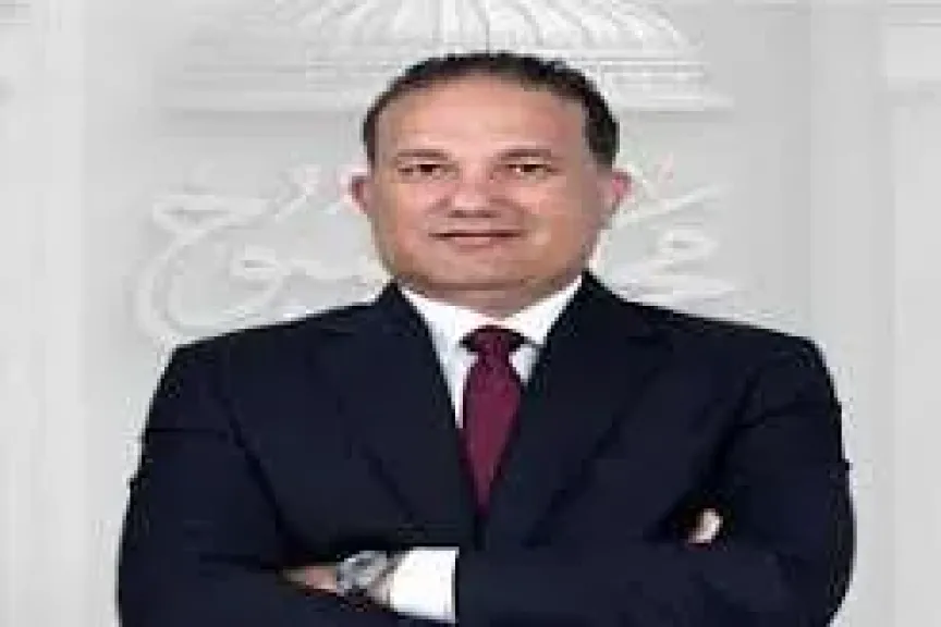 النائب تامر عبد الحميد، عضو مجلس الشيوخ