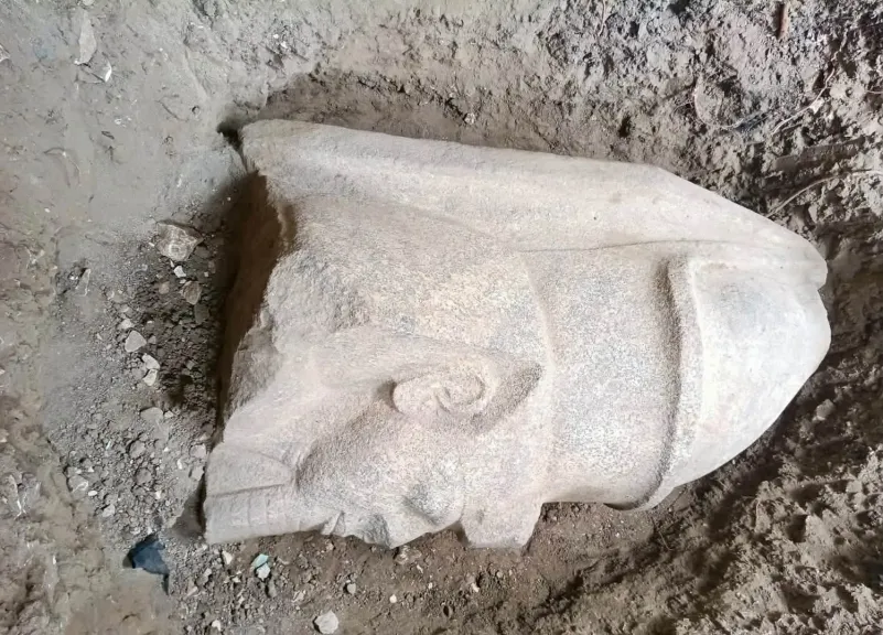 كشف أثري بقرية بهبيت الحجارة بالغربية : ”بقايا تمثالين ضخمين للملك رمسيس الثاني وكتلة جرانيت وردي بنقوشٍ هيروغليفية”