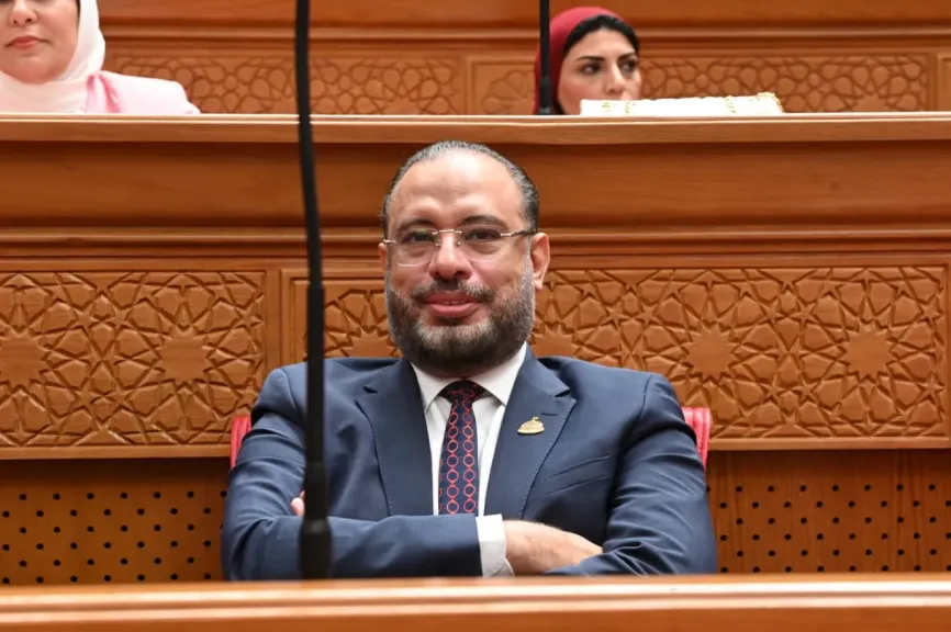 النائب أحمد السبكي 