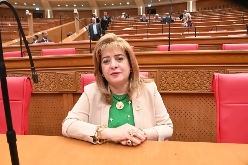 النائبة هناء أنيس 