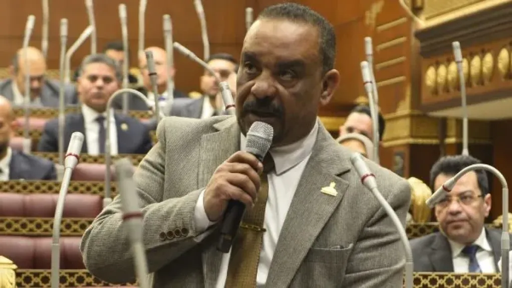 النائب أحمد حافظ، عضو مجلس الشيوخ