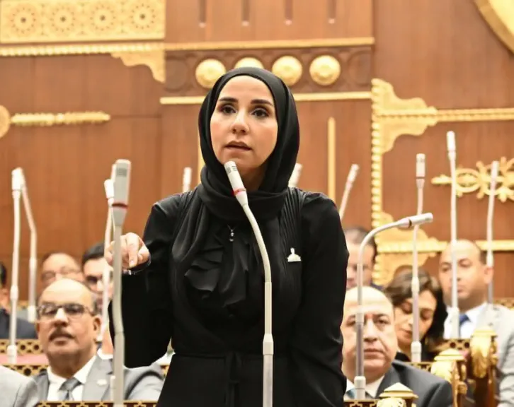 عضو مجلس الشيوخ: أمن السعودية والخليج امتداد للأمن القومي العربي