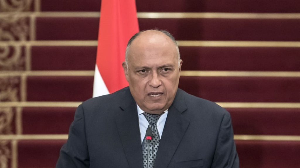 النواب يقرر.. سامح شكري: الأمن القومي العربي منظومة واحدة لا تقبل التجزئة|فيديو